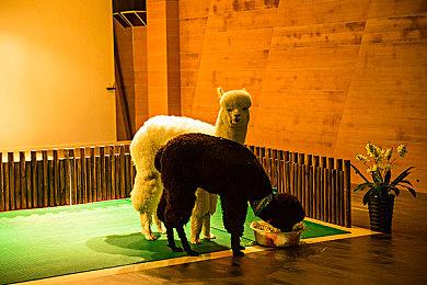 《真女神转生5》恶魔介绍：阿拉伯母神威灵